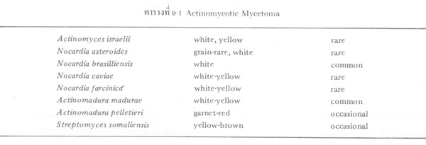 Actinomycotic Mycetoma11